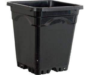 Square Black Pot