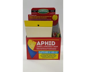 pestNOmore Aphid, Thrip, & Whitefly Trap