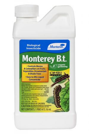 Monterey B.t. Gal