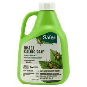 Safer® Insect Killing Soap