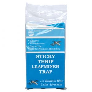 Sticky Thrip Leafminer Traps