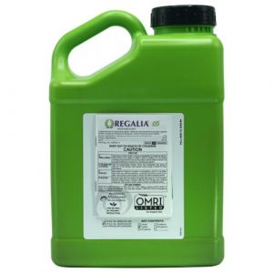 Marrone Bio Innovations Regalia® CG Biofungicide